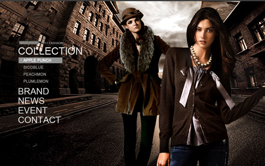 服裝網(wǎng)站建設(shè)